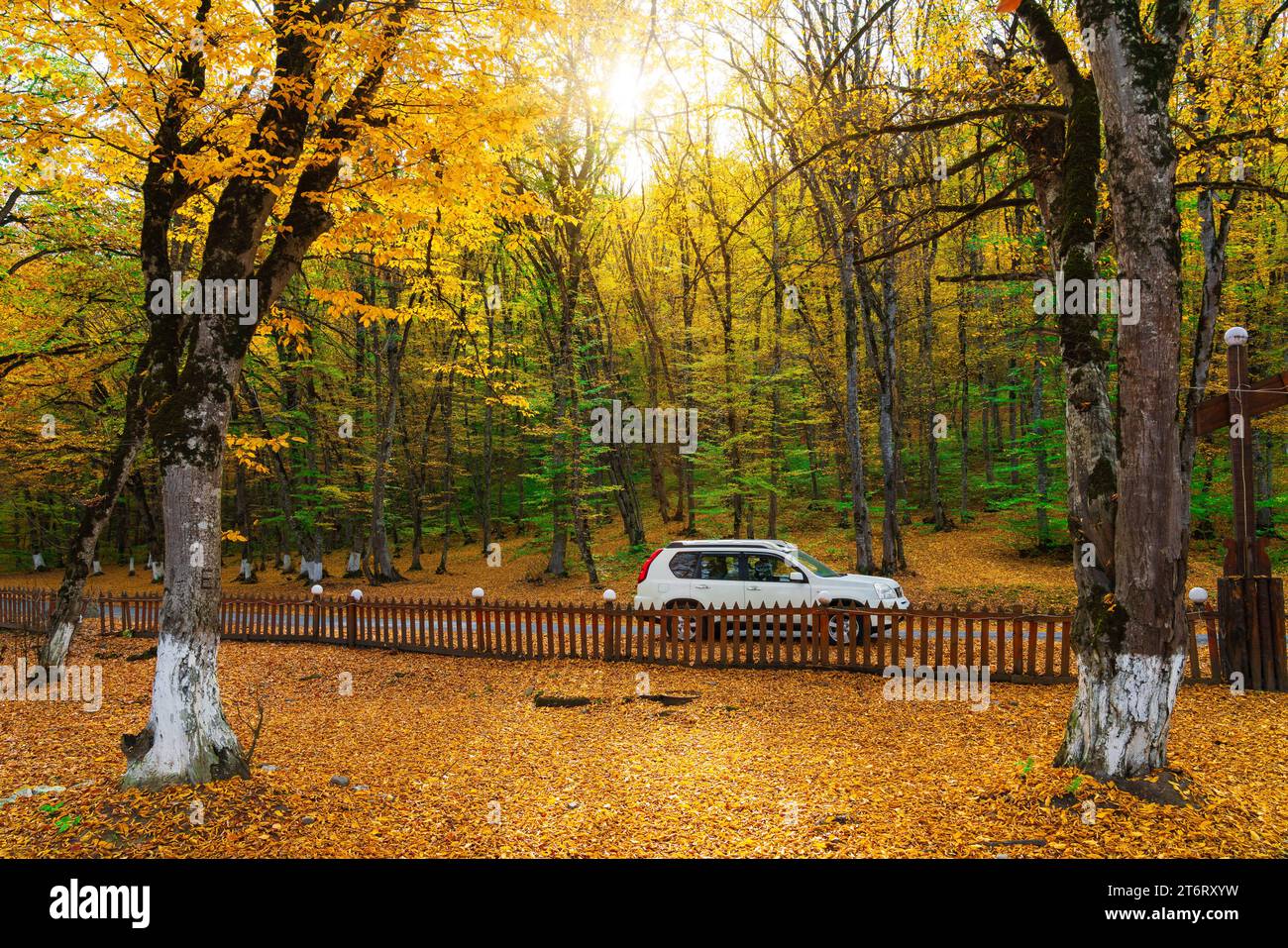 Nissan X-Trail SUV im Herbstgarten Stockfoto