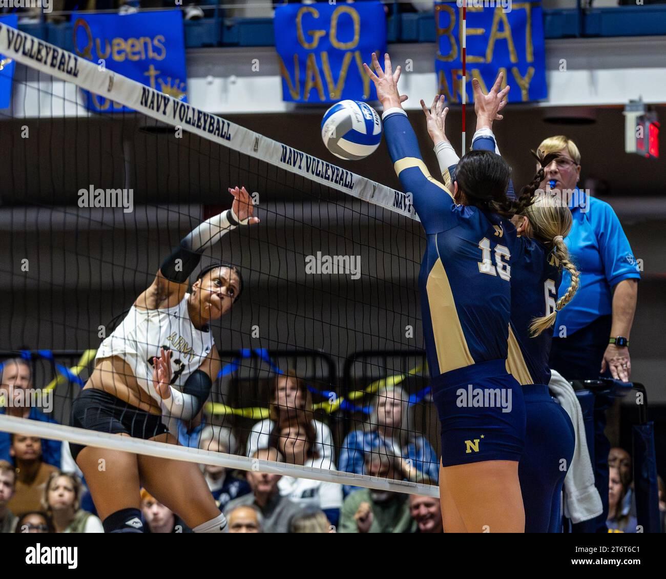 11. November 2023, Annapolis, Maryland, USA: SAVANNAH BRAY (23) vom Volleyballteam der Armee versucht, während des jährlichen Star Matches am Tag des Veteranâ an der United States Naval Academy in Annapolis, Maryland, am 11. November 2023 einen Kill gegen die Navy zu machen. (Kreditbild: © Robert Blakley/ZUMA Press Wire) NUR REDAKTIONELLE VERWENDUNG! Nicht für kommerzielle ZWECKE! Stockfoto