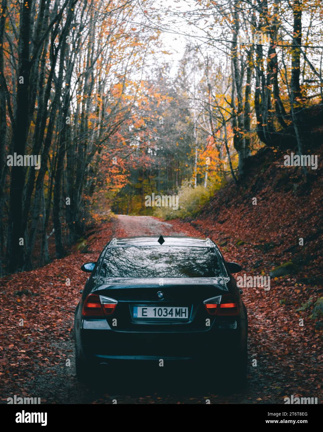 Bulgarien - 11.12.2023: Von hinten auf einem BMW mitten auf der Feldstraße in einem herbstlichen Wald geschossen. Stockfoto