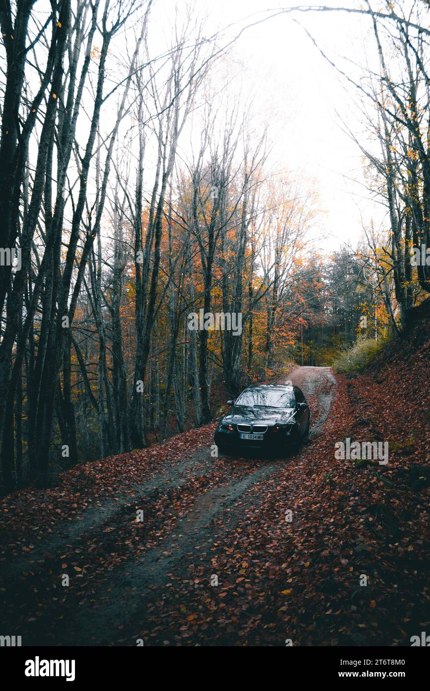 Bulgarien - 11.12.2023: Parkt inmitten einer Feldstraße, umgeben von Herbstbäumen. Stockfoto