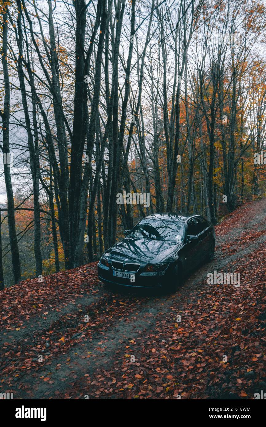 Bulgarien - 11.12.2023: Herbstliche Vibes im Wald während der Fotosession eines Autos. Stockfoto