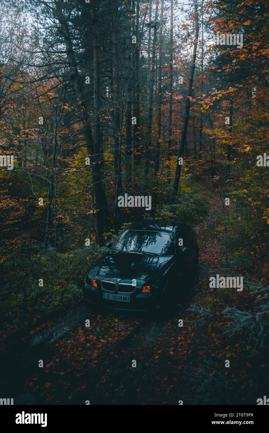 Bulgarien - 11 12 2023: Autofotografie im dunklen, stimmungsvollen Wald. Stockfoto