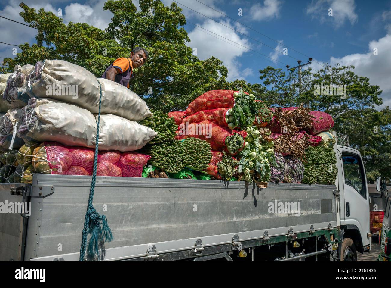 Ein Mann sitzt auf der Rückseite eines Lastwagens mit frischem Obst und Gemüse und wartet darauf, das Dambulla-Wirtschaftszentrum in Sri Lanka zu betreten. Stockfoto