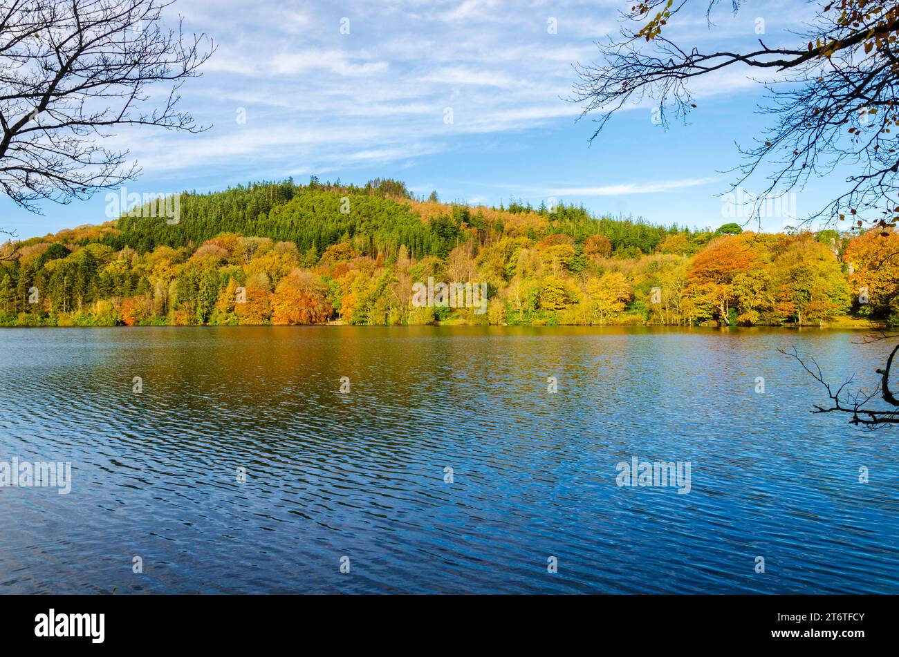 Castlewellan, County Down, Nordirland, von Bäumen gesäumter See mit Herbstfarben, ideal für Wanderungen, Radtouren, Kajaktouren und Picknicks mit der Familie Stockfoto