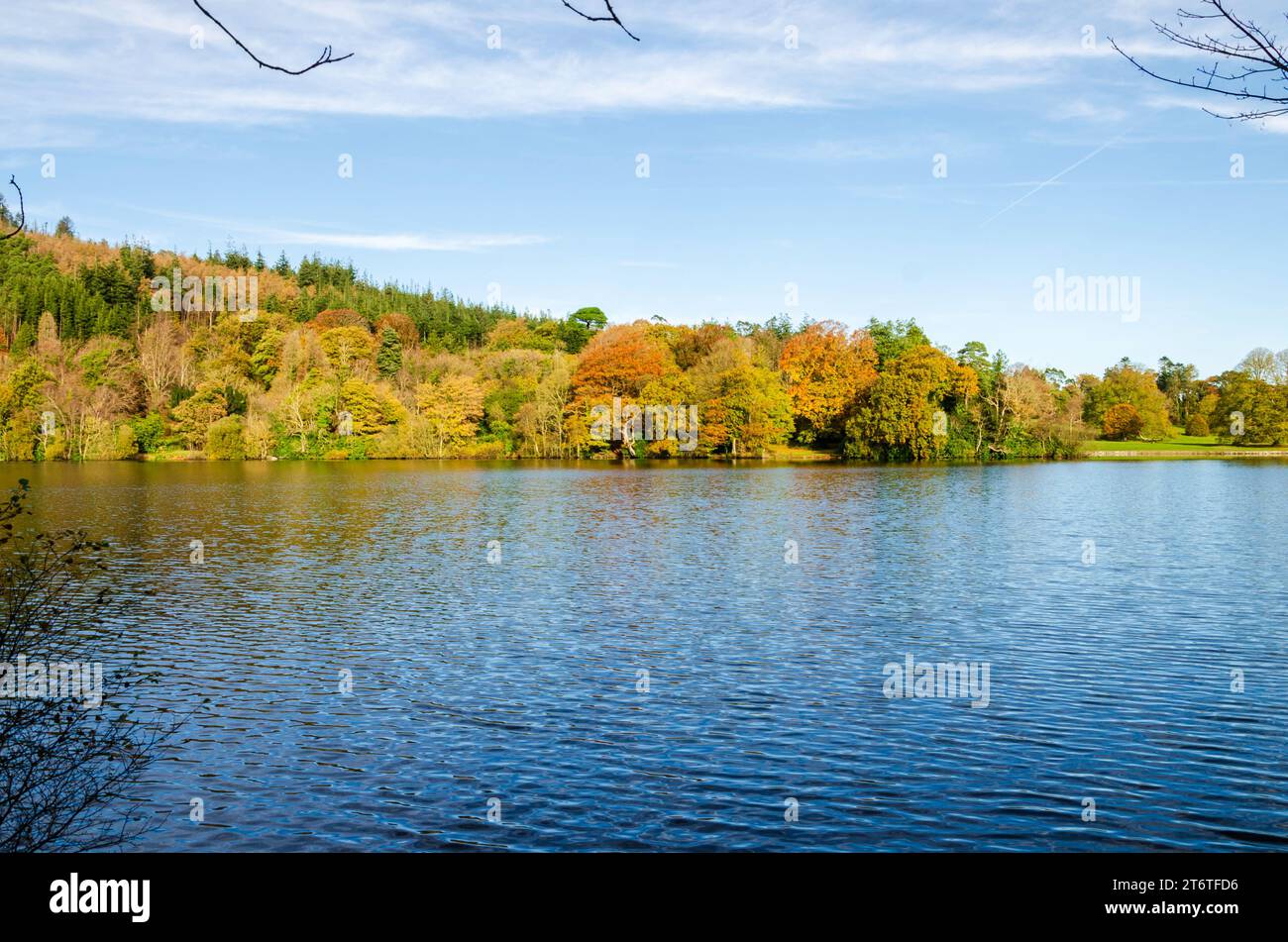 Castlewellan, County Down, Nordirland, von Bäumen gesäumter See mit Herbstfarben, ideal für Wanderungen, Radtouren, Kajaktouren und Picknicks mit der Familie Stockfoto