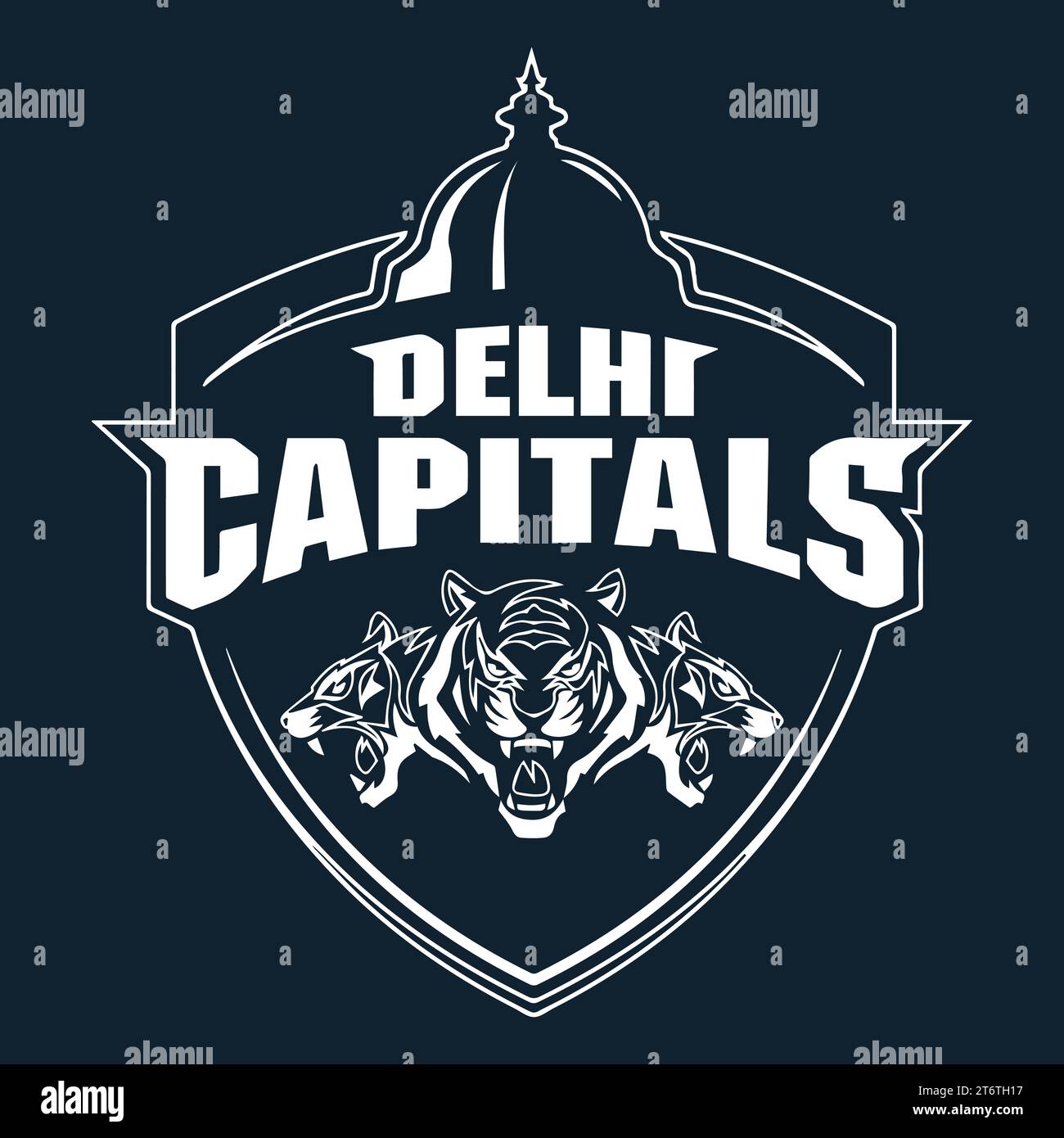 Delhi Kapitalien Logo Weißer Stil indischer professioneller Cricket Club, Vektor-Illustration abstraktes bearbeitbares Bild Stock Vektor
