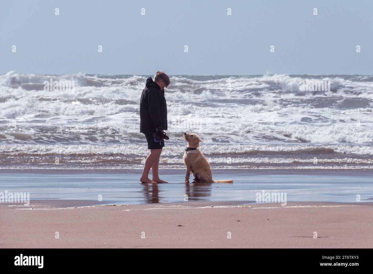 Ein Junge bringt seinem Hund bei, am Strand in Llangennith in Südwales zu sitzen Stockfoto