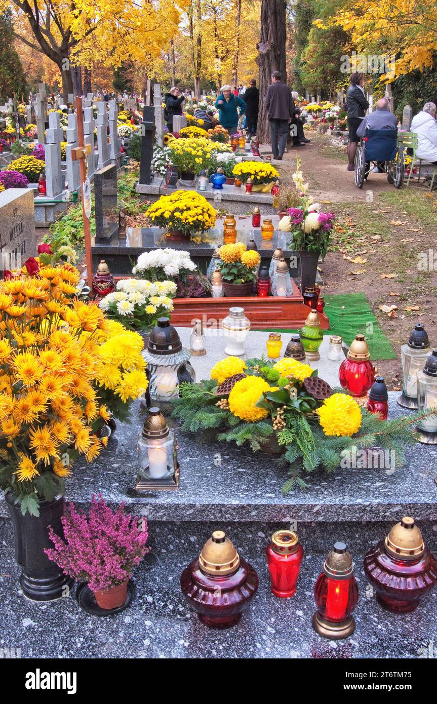 Chrysanthemenblumen und Votivkerzen auf Gräbern am Allerheiligen-Tag auf dem Sankt-Lorenz-Friedhof in Breslau, Niederschlesien, Polen Stockfoto