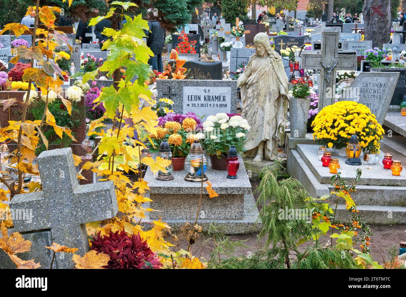 Chrysanthemenblumen und Votivkerzen auf Gräbern am Allerheiligen-Tag auf dem Sankt-Lorenz-Friedhof in Breslau, Niederschlesien, Polen Stockfoto
