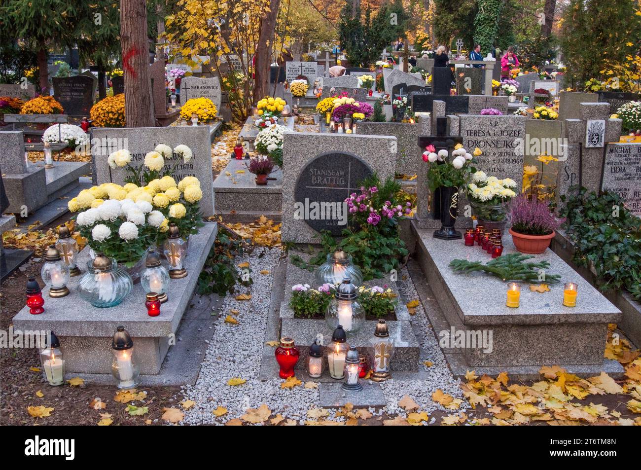 Blumen und Votivkerzen auf Gräbern am Allerheiligen-Tag auf dem Sankt-Lorenz-Friedhof in Breslau, Niederschlesien, Polen Stockfoto