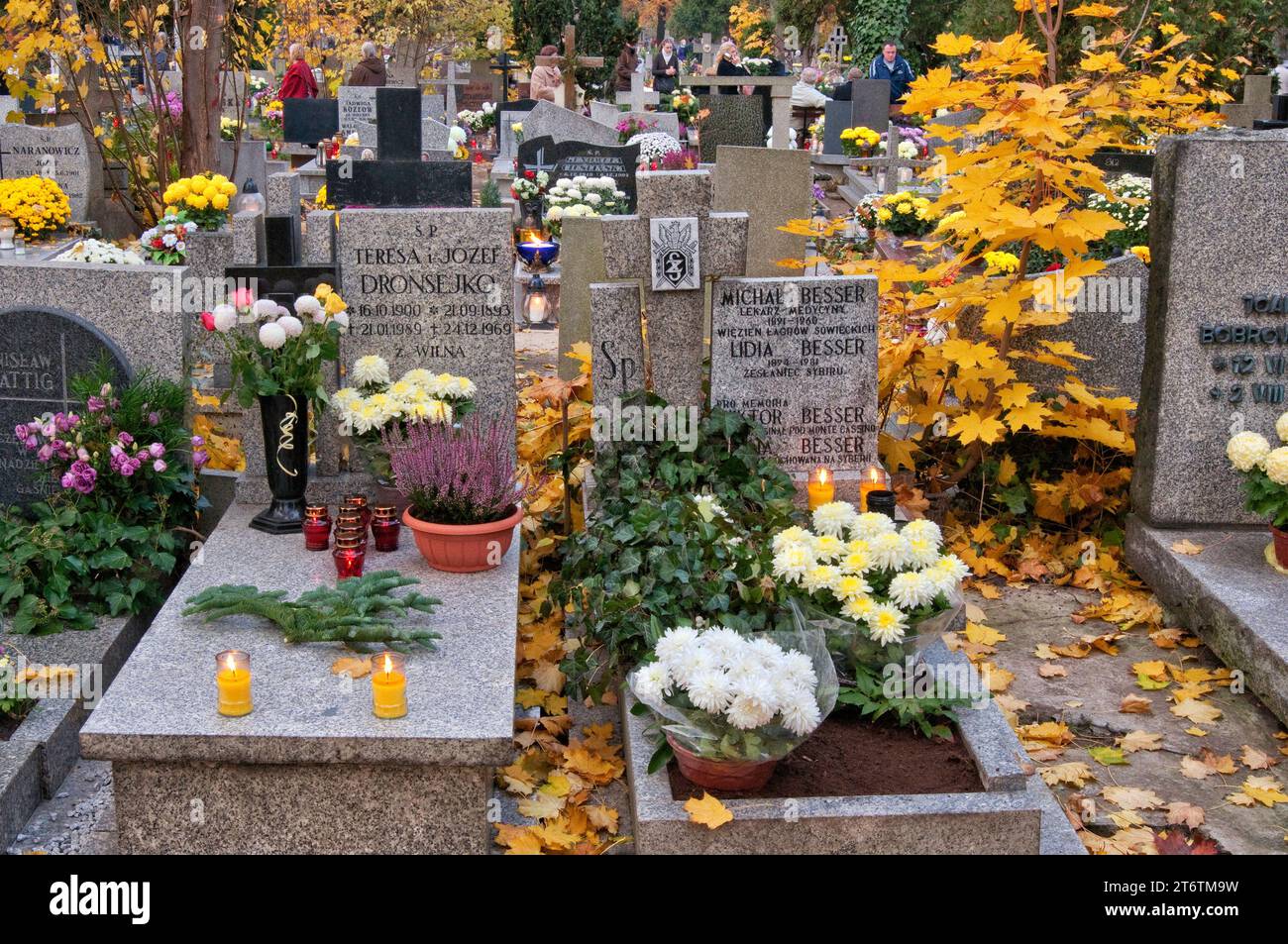 Blumen und Votivkerzen auf Gräbern am Allerheiligen-Tag auf dem Sankt-Lorenz-Friedhof in Breslau, Niederschlesien, Polen Stockfoto