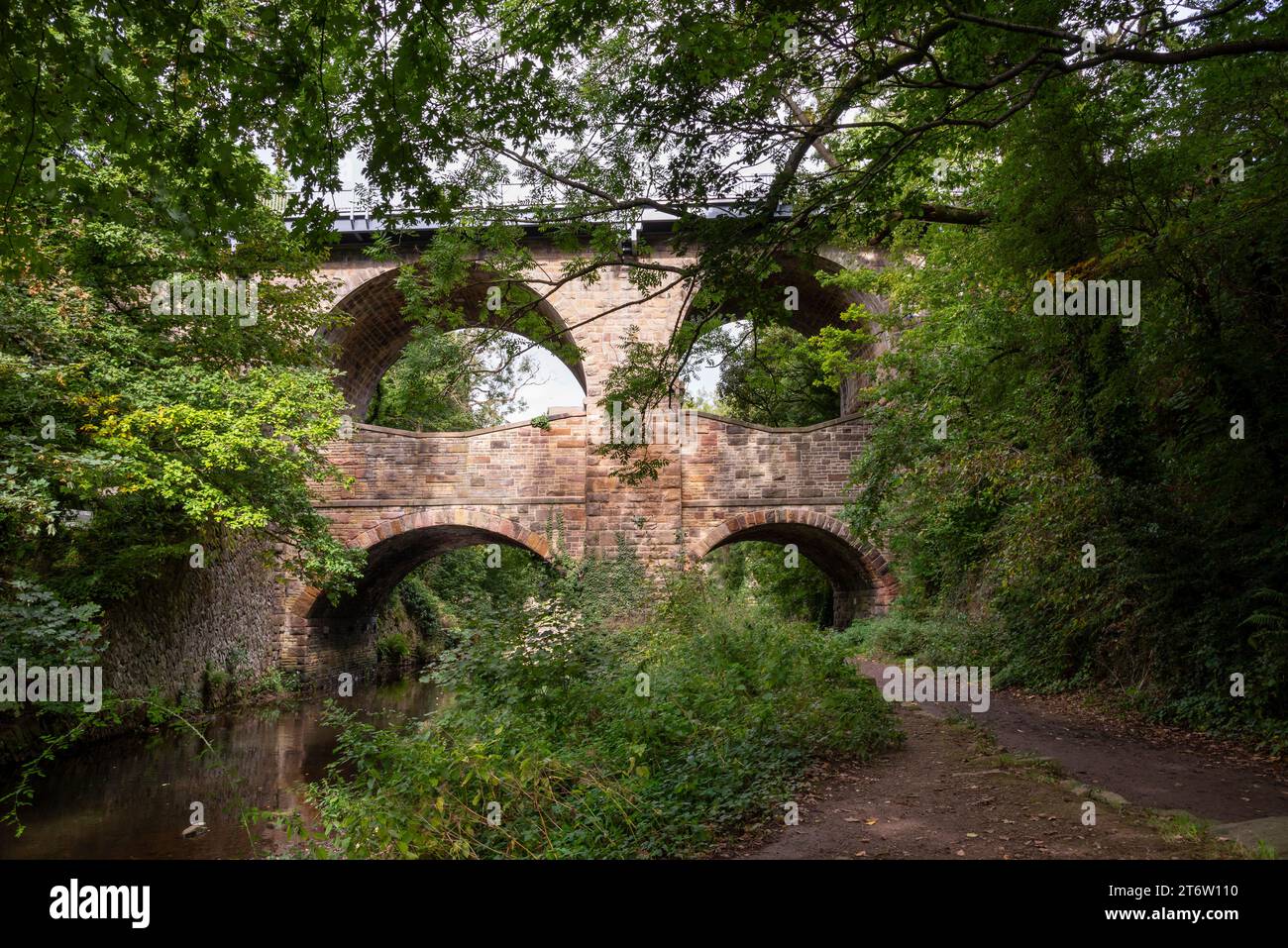 Der Torrs Riverside Park in New Mills, Derbyshire, England. Stockfoto