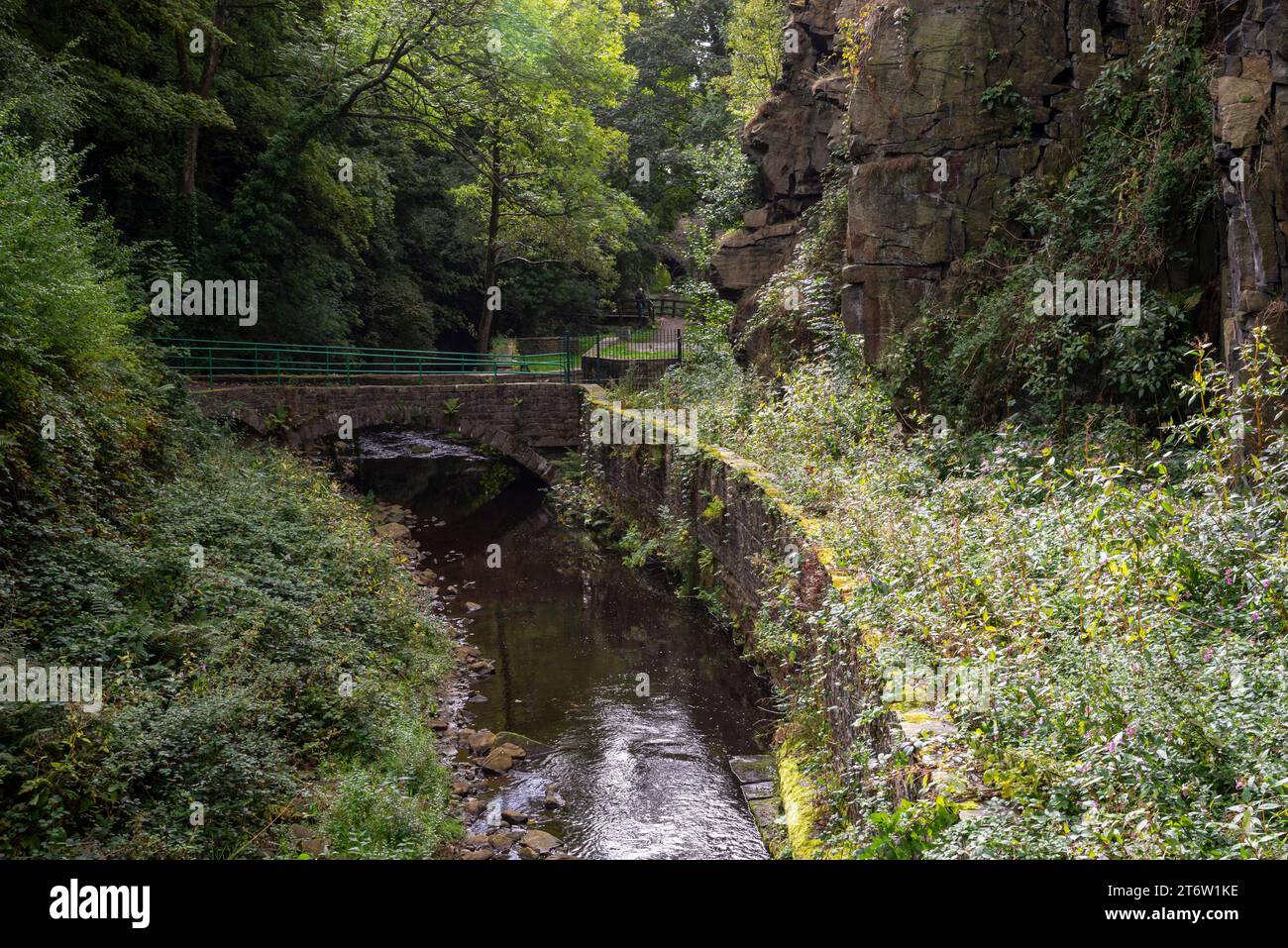 Der Torrs Riverside Park in New Mills, Derbyshire, England. Stockfoto