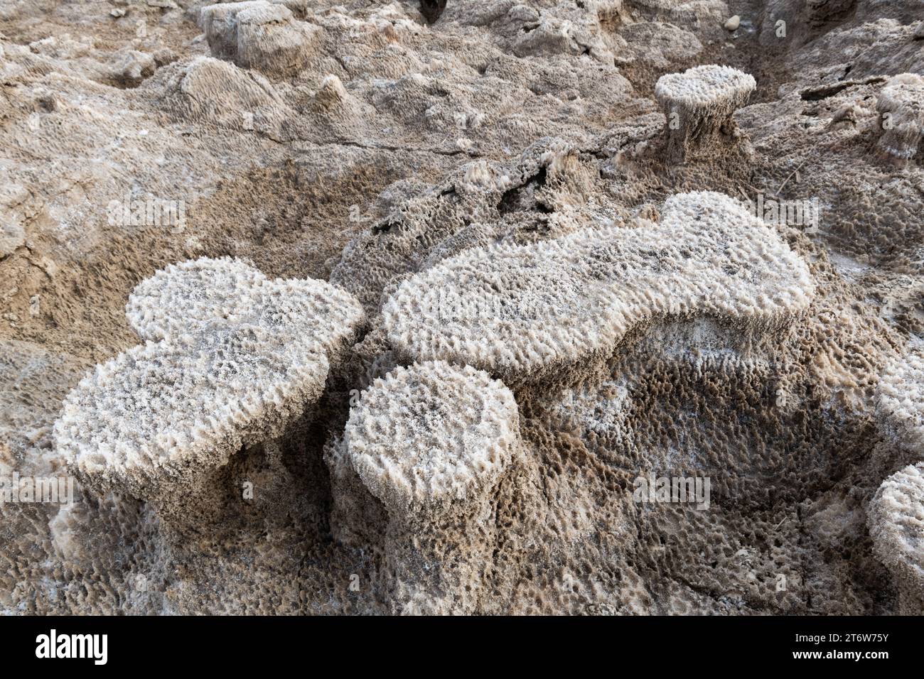 Staub und Schmutz färben einen bräunlichen Farbton über unqiue Salzhügel, die sich entlang der Küste des Toten Meeres in Israel bilden. Stockfoto