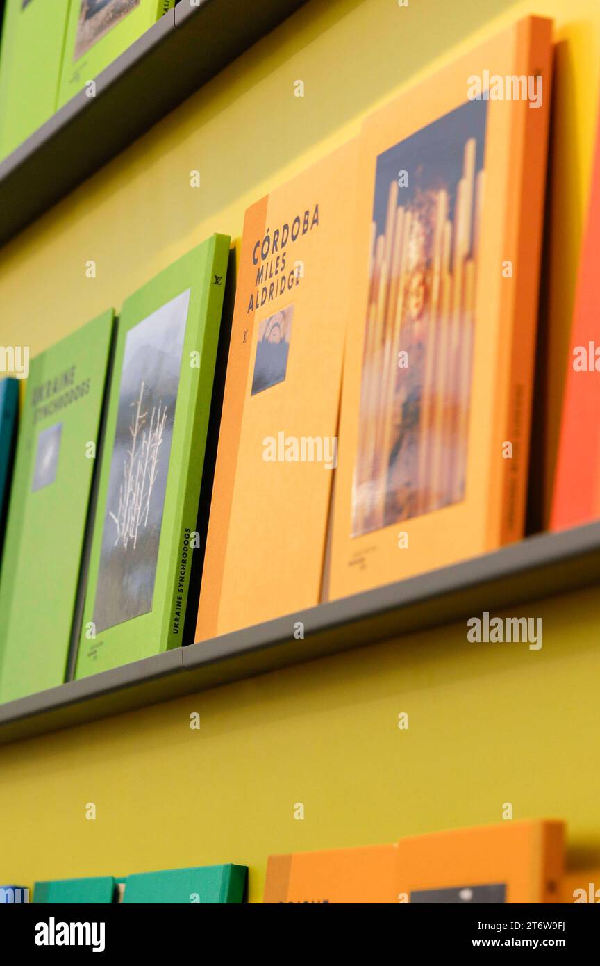 Galleriestand beim Pressebesuch der Fotokunstmesse PARIS PHOTO im Grand Palais EphÃ Mere. Für die Fotografie ist die Paris Photo die weltweit größte Fotomesse und vereint etwa 140 Galerien und Kunstbuchhändler aus vielen Ländern. Paris, 10.11.2023 *** Galeriestand während des Pressebesuchs auf der PARISER FOTOKUNSTMESSE im Grand Palais EphÃ Mere für Fotografie ist Paris Photo die größte Fotomesse der Welt und bringt rund 140 Galerien und Kunstbuchhändler aus vielen Ländern zusammen. 10 11 2023 Foto:XR.xSchmiegeltx/xFuturexImagex paris Photo 3110 Stockfoto