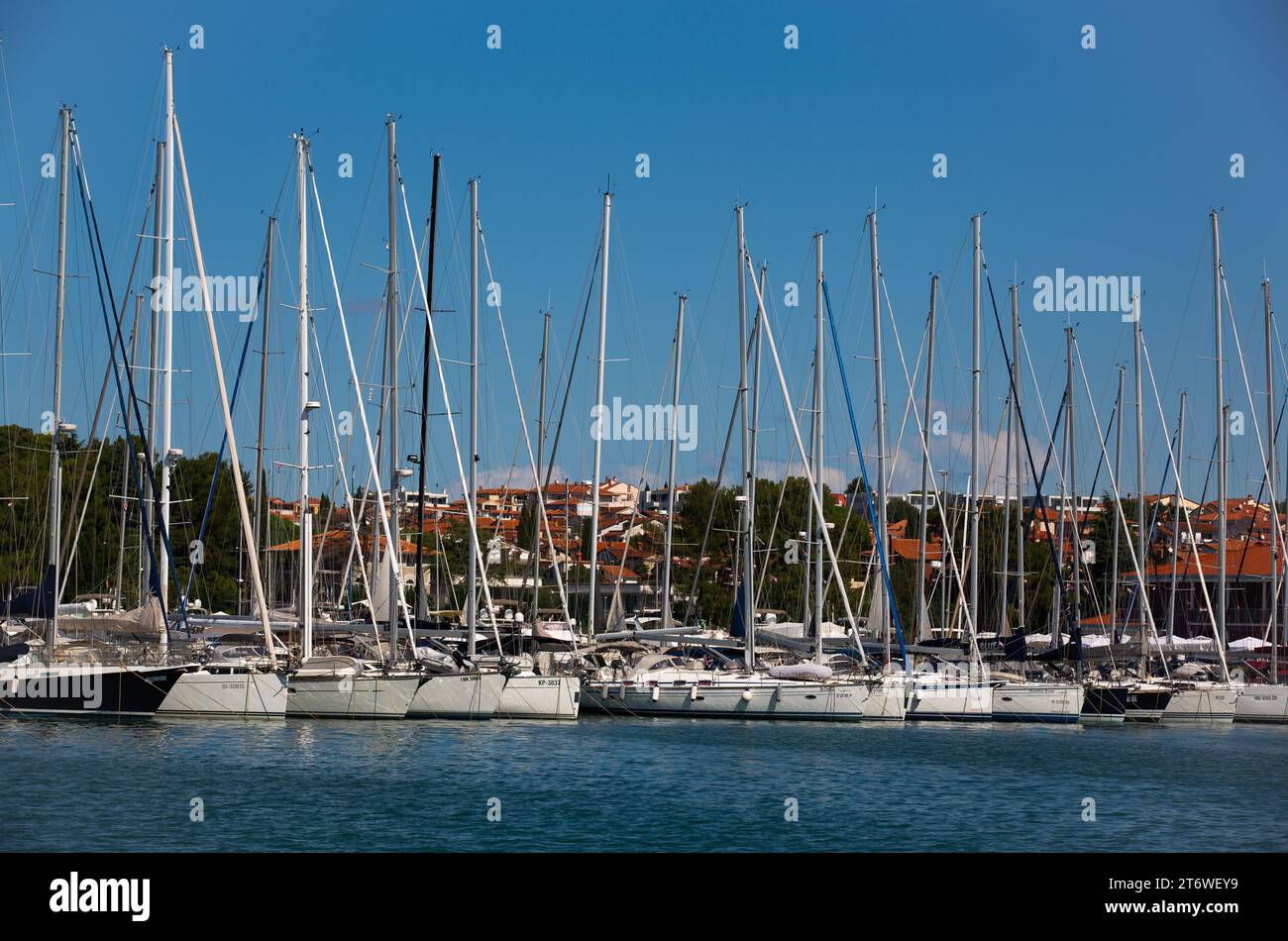 Segelboote, Marina Nautica, Novigrad, Kroatien Stockfoto