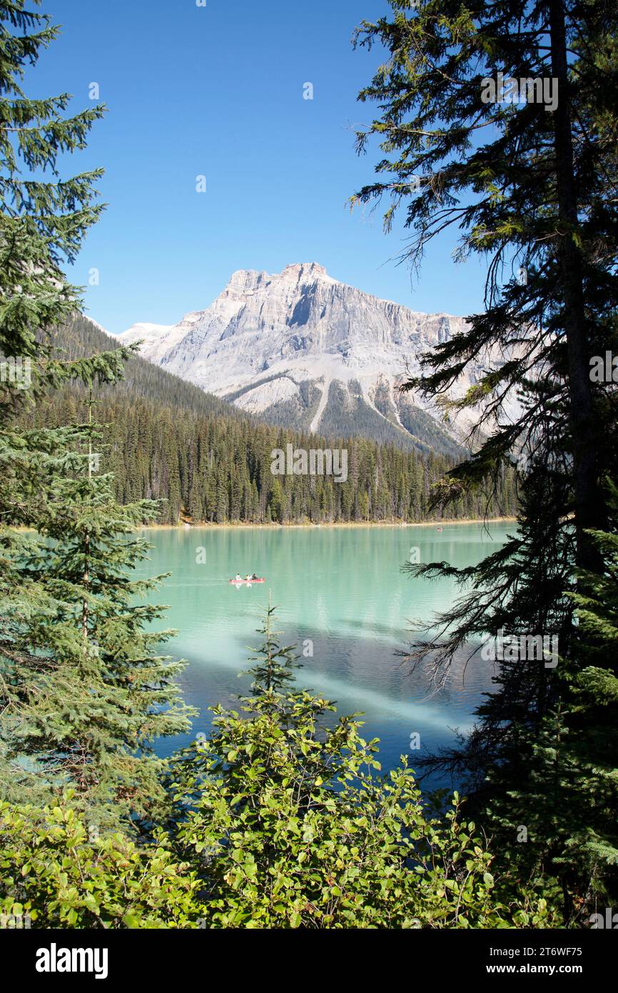 Emerald Lake, ein Süßwassersee im Yoho National Park, British Columbia, Kanada Stockfoto