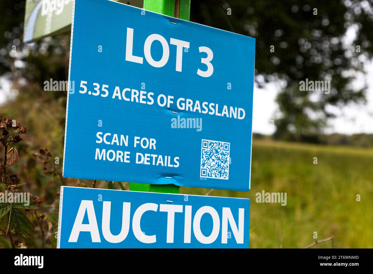 Landwirtschaftlich genutztes Grundstück zum Verkauf durch Auktion in den USA/ Stockfoto