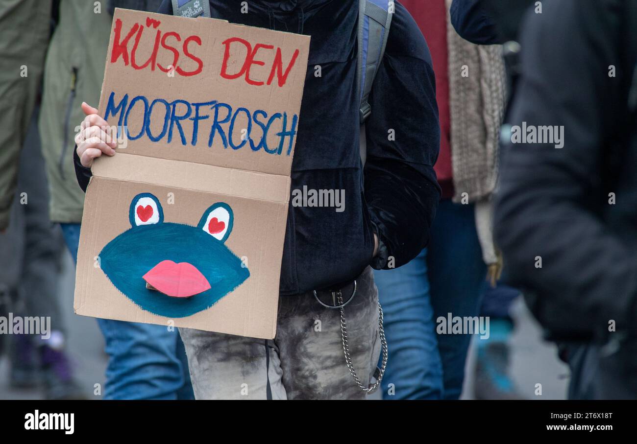 Tribsees, Deutschland. November 2023. Ein Demonstrant demonstriert mit einem Poster mit der Aufschrift „Kuss den Moorfrosch“ für besseren Moorschutz und Klimaschutz. Die Demonstranten hatten sich im Herbst 2017 unweit des spektakulären 90 Meter langen Sinklochs versammelt. Bilder von dem riesigen Loch gingen um die Welt. Laut einem Bericht der Technischen Universität Berlin haben neben der Bautechnik des Straßenabschnitts auch hohe Belastungen und ein Rückgang des Grundwasserspiegels dazu beigetragen. Nach mehreren Jahren Arbeit, die Sektion zwischen den Bad S/dpa/Alamy Live News Stockfoto