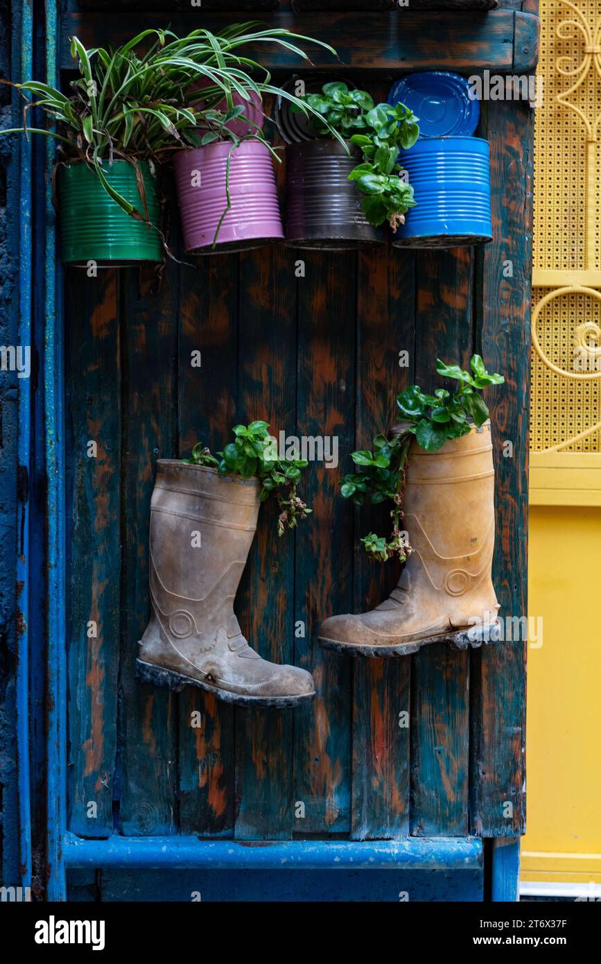 Ein Paar alte Gummistiefel und lackierte Metalldosen werden auf ein Holzbrett gehängt und als Pflanzenhalter umfunktioniert. Stockfoto