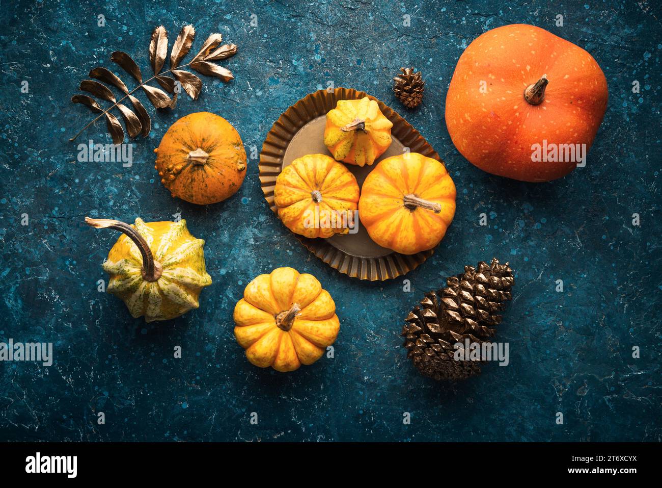 Herbstkürbis vor blauem Vintage-Hintergrund. Thanksgiving-Hintergrund Stockfoto
