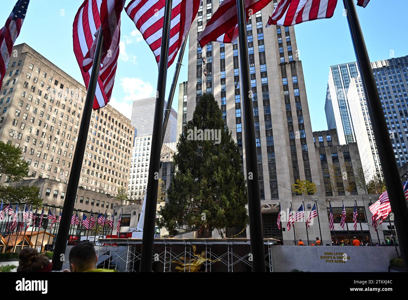 Der Rockefeller Center Christmas Tree wird am 11. November 2023 in New York City auf der Plaza aufgestellt. Stockfoto