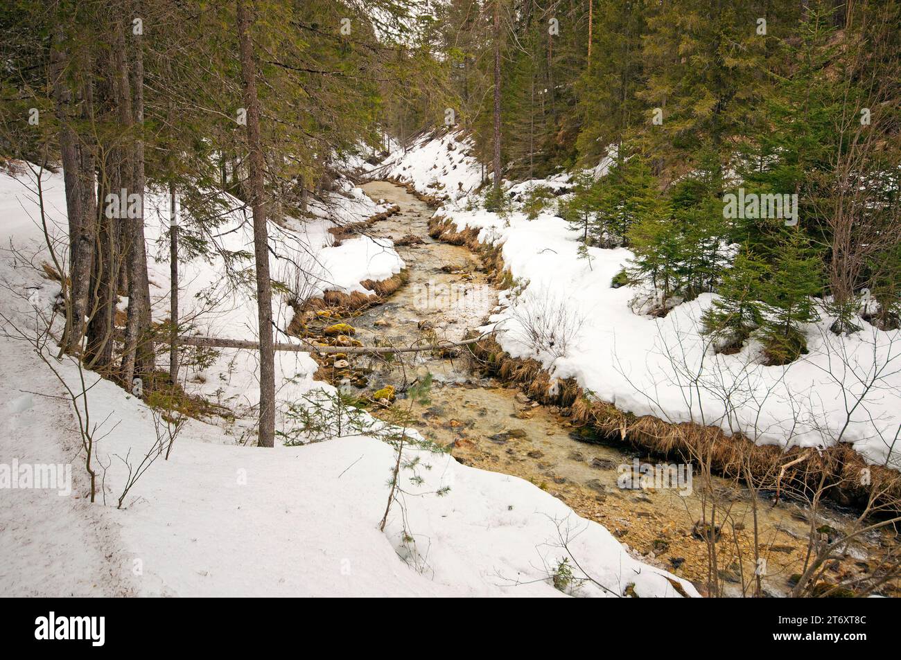 Winterlandschaft mit Bach San Vigil, Naturpark Fanes-Sennes-Prags, San Vigil di Marebbe, Trentino-Südtirol, Italien Stockfoto