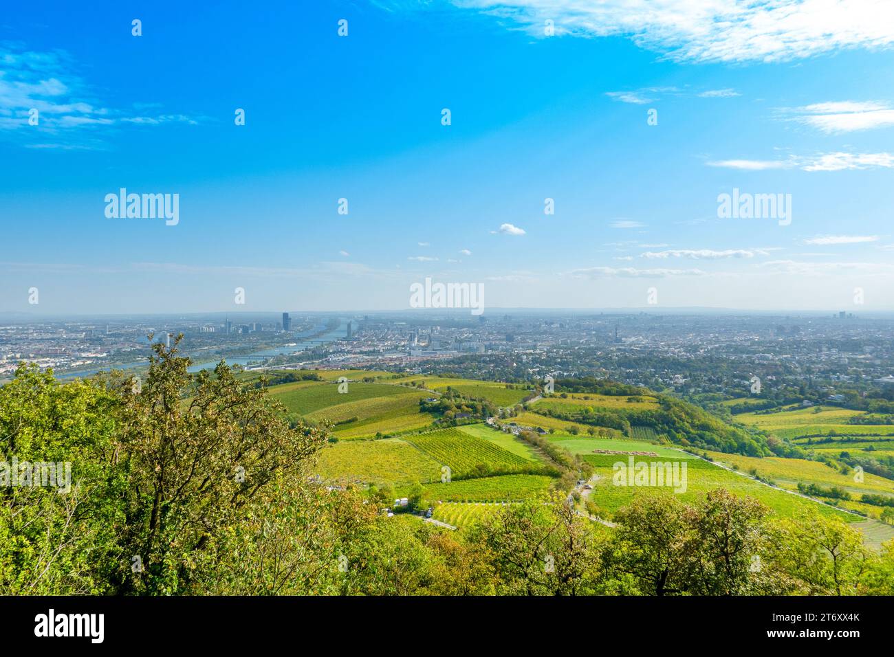 Luftaufnahme der Stadt Wien, der Donauinsel und der Donau vom Kahlenberg, Österreich Stockfoto