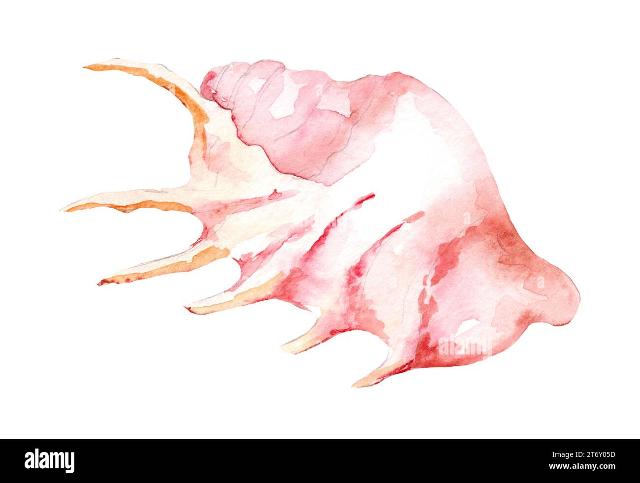 Seashell In Wasserfarben. Handgezeichnete Illustration der Weichtiere auf isoliertem weißem Hintergrund. Farbenfrohe Zeichnung von Sea Shell. Exotische Meeresfauna. Wilde Unterwasserwelt Stockfoto