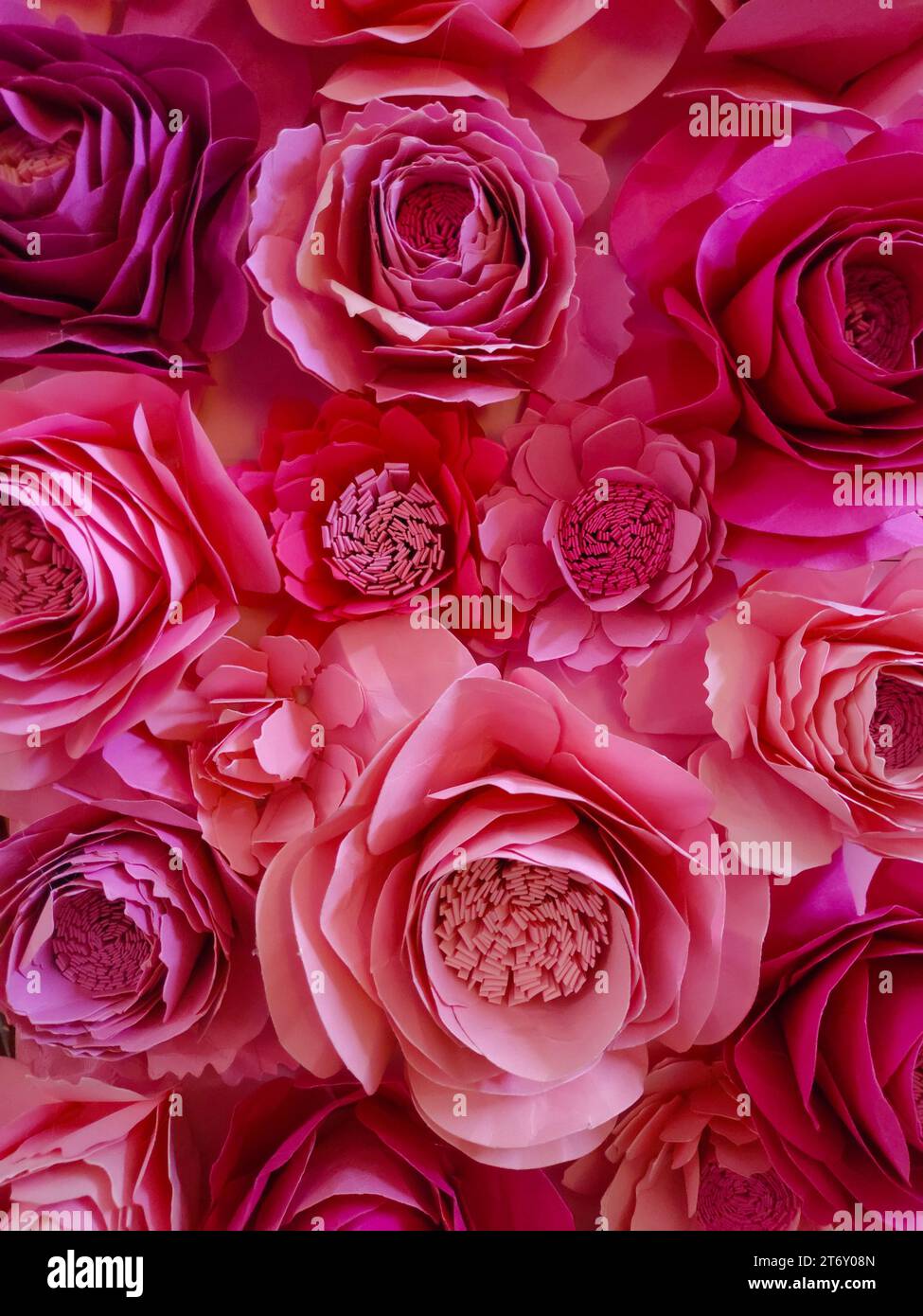 Hintergrund der Fuchsiaflüten aus Papier Stockfoto