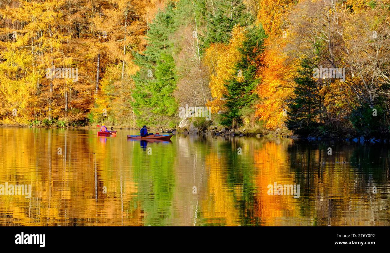 Kajakfahren auf dem River Tummel Schottland zwischen farbenfrohen Herbstbäumen, die sich im Wasser spiegeln Stockfoto