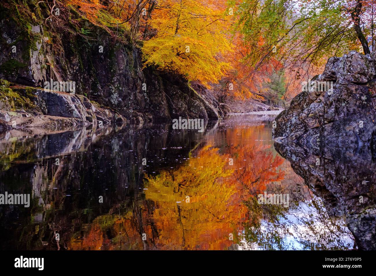 Herbst in Killinkrankie, Schottland, mit Fluss Tummel und feurigen Farben Stockfoto