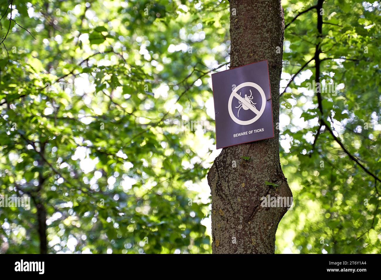 Vorsicht vor Zecken. Warnschild im Spring City Park. Stockfoto