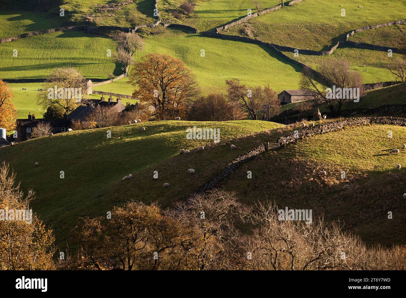 Typische Yorkshire Dales Farmfelder in der Nähe von Keld in den Yorkshire Dales, Großbritannien Stockfoto