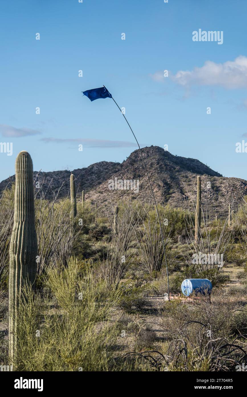 Eine blaue 50 Liter fassende Trommel Wasser, die von humanen Grenzen bereitgestellt wird, wartet auf illegale Einwanderer entlang der internationalen Grenze zu Mexiko, der Sonora-Wüste Stockfoto