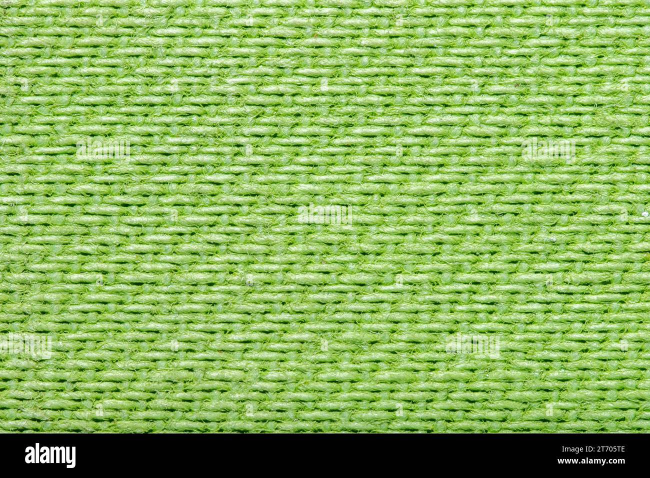Grüne, strukturierte Rückseite mit eng anliegendem Strickmaterial. Stockfoto