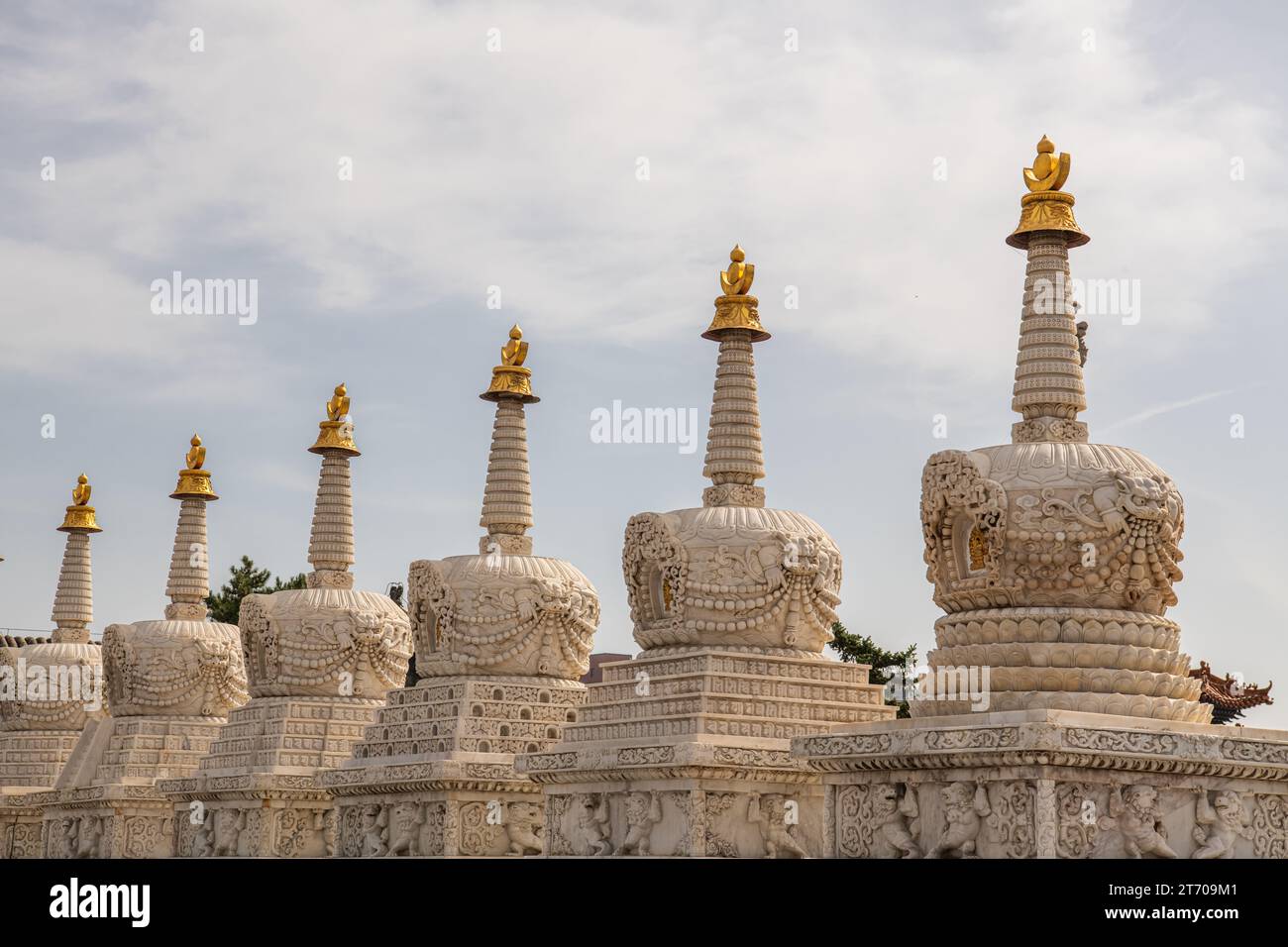 Acht Verdienstorben im da Zhao oder Wuliang Tempel (IH Juu auf Mongolisch), einem tibetisch-buddhistischen Kloster des Gelugpa-Ordens in Hohhot, Innere Mongolei, C. Stockfoto