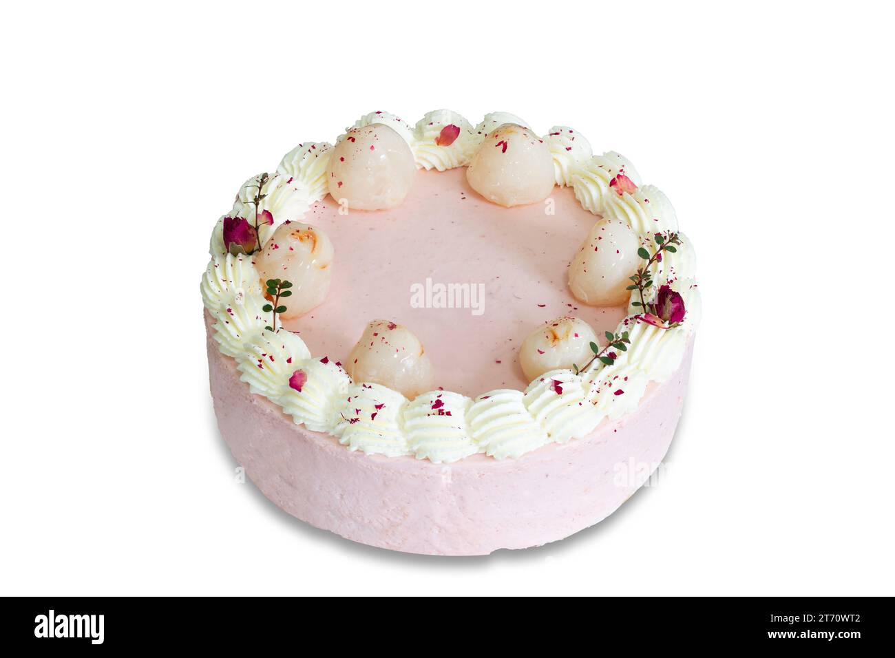 Hausgemachter Litschi-Kuchen auf weißem isoliertem Hintergrund mit Schnittpfaden. Glatter Biskuitkuchen mit junger Puddingsoße. Bäckereikonzept für die Geburt Stockfoto