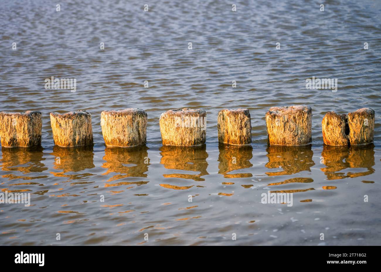 Nahaufnahme von Wellenbrechern an der Ostsee in Polen. Stockfoto