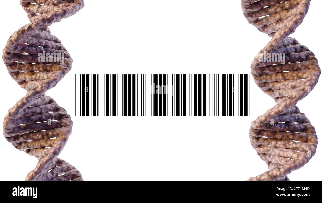 Isoliertes Nahaufnahme-DNA-Helix- und Barcode-3D-Rendering Stockfoto