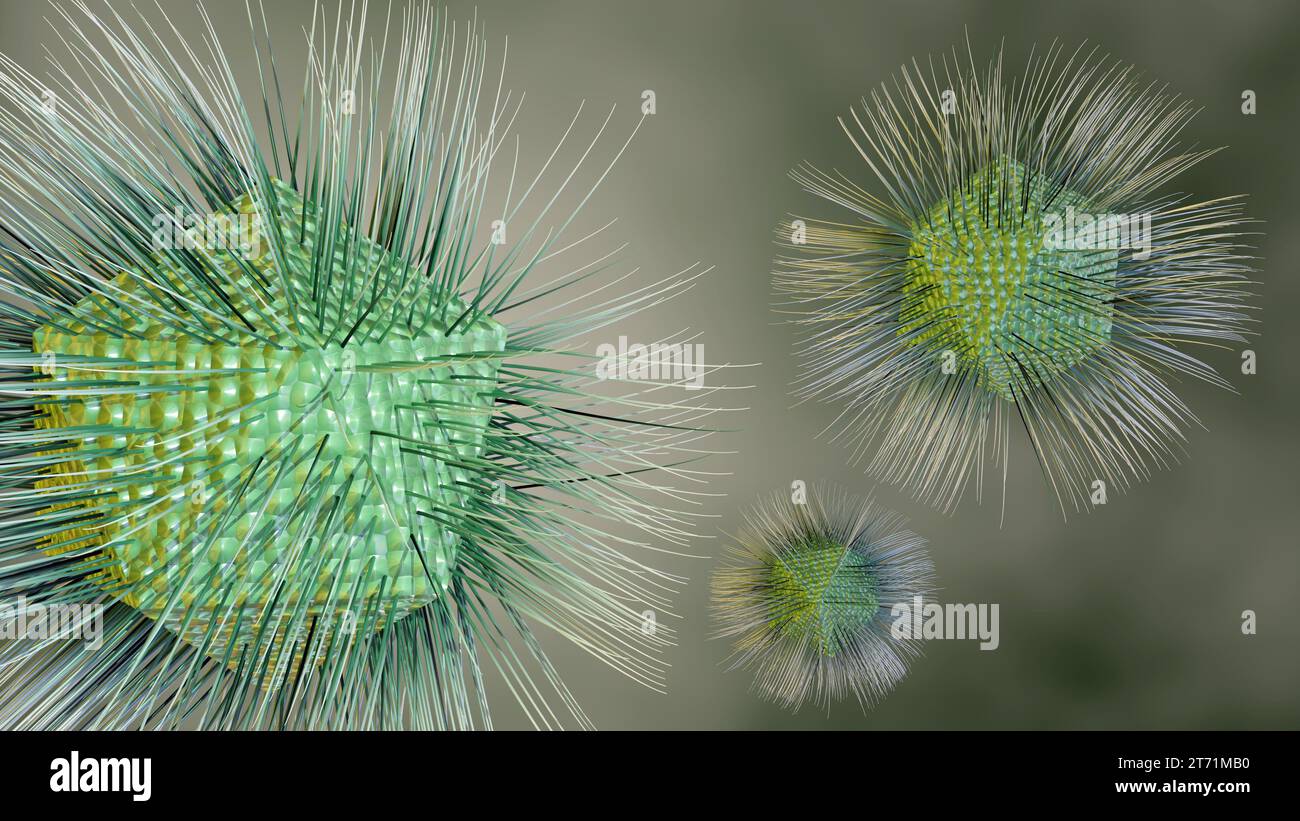 Mimivirus ist eine Gattung von Riesenviren, in der Familie Mimiviridae. Eine einzelne identifizierte Art namens Acanthamoeba polyphaga mimivirus oder APMV. Es hat einen Stockfoto