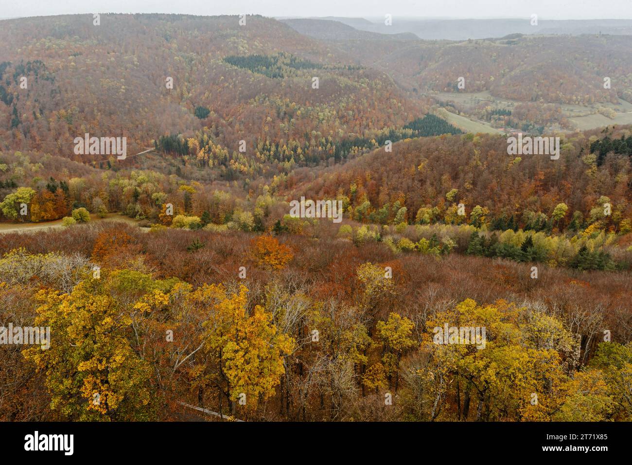 Kräftige, schöne Farben der herbstlichen Hügellandschaft und der Wälder von Baden-Wurrtemberg in Deutschland. Stockfoto