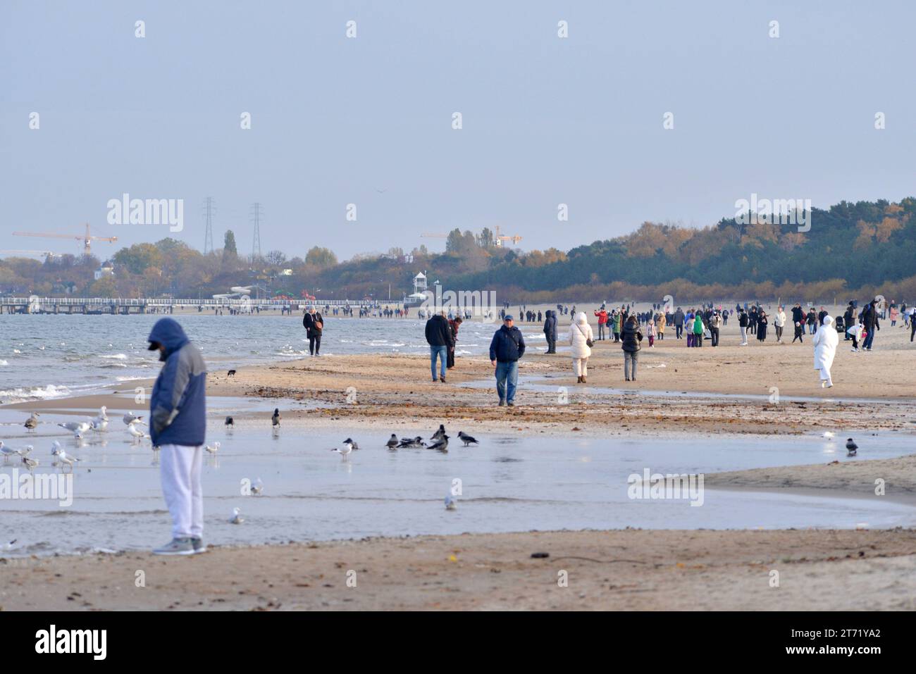 Menschen mit Jacken, die bei kaltem Wetter am Strand von Danzig, Polen, Europa, EU spazieren gehen Stockfoto