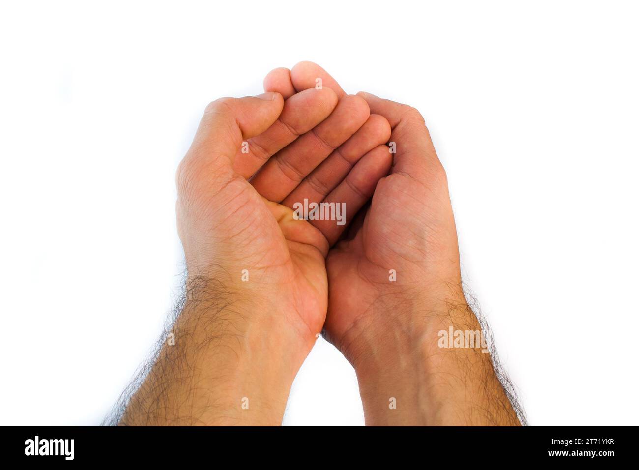 Detail der menschlichen Hände, die Almosen auf weißem Hintergrund stellen; Detail der menschlichen Hände, die Almosen auf weißem Hintergrund stellen Stockfoto