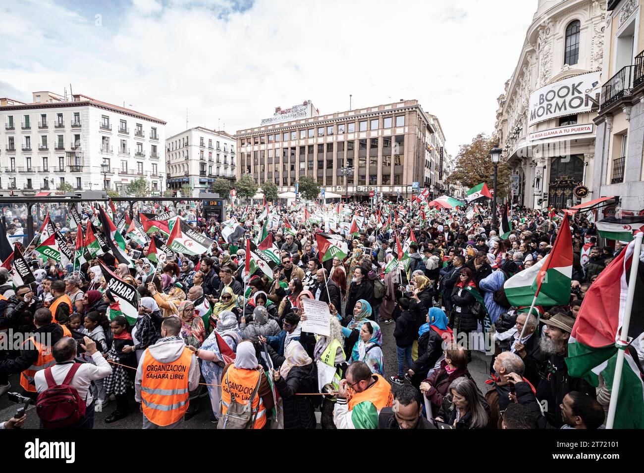 Madrid, Spanien. November 2023. Während der Demonstration halten viele Demonstranten Fahnen. Eine massive Demonstration unter der Leitung des Staatlichen Koordinators der Verbände in Solidarität mit der Sahara (CEAS-Sahara) reist durch Madrid, um die Selbstbestimmung der Sahara zu fordern. Quelle: SOPA Images Limited/Alamy Live News Stockfoto