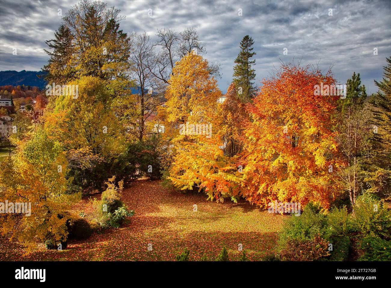 DE - BAYERN: Private herbstliche Gartenszene entlang der Isar mit Blomberg (1248 m) im Hintergrund, Bad Toelz, Oberbayern Stockfoto