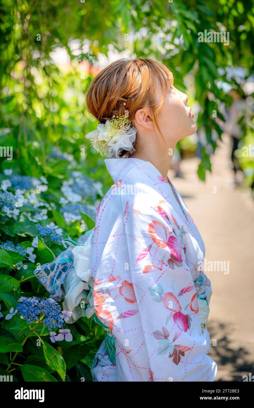 Porträt einer jungen Frau mit japanischem Yukata-SommerKimono in einem Hortensiengarten. Kyoto, Japan. Hintergrund mit weichem Unschärfe. Stockfoto