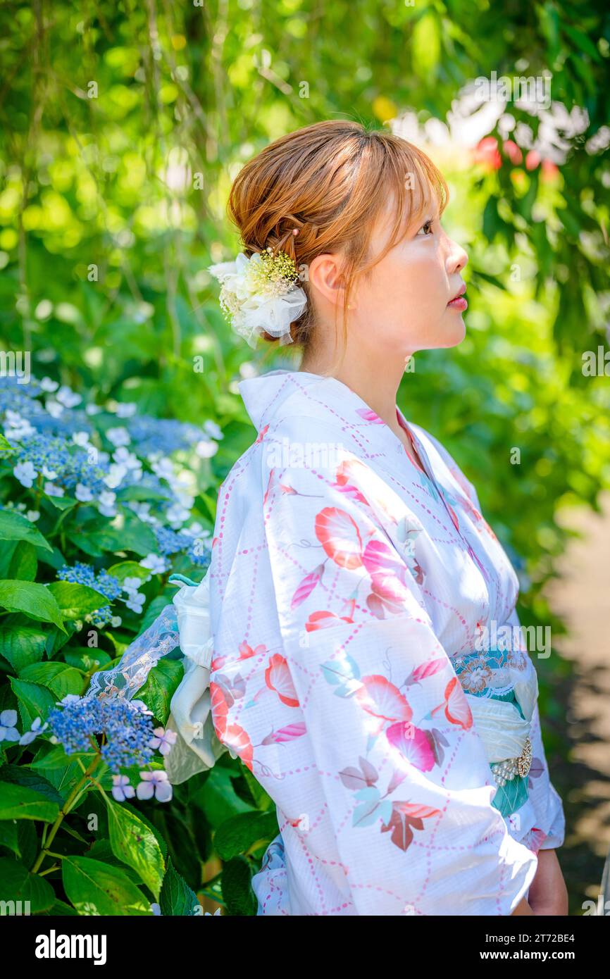Porträt einer jungen Frau mit japanischem Yukata-SommerKimono in einem Hortensiengarten. Kyoto, Japan. Hintergrund mit weichem Unschärfe. Stockfoto