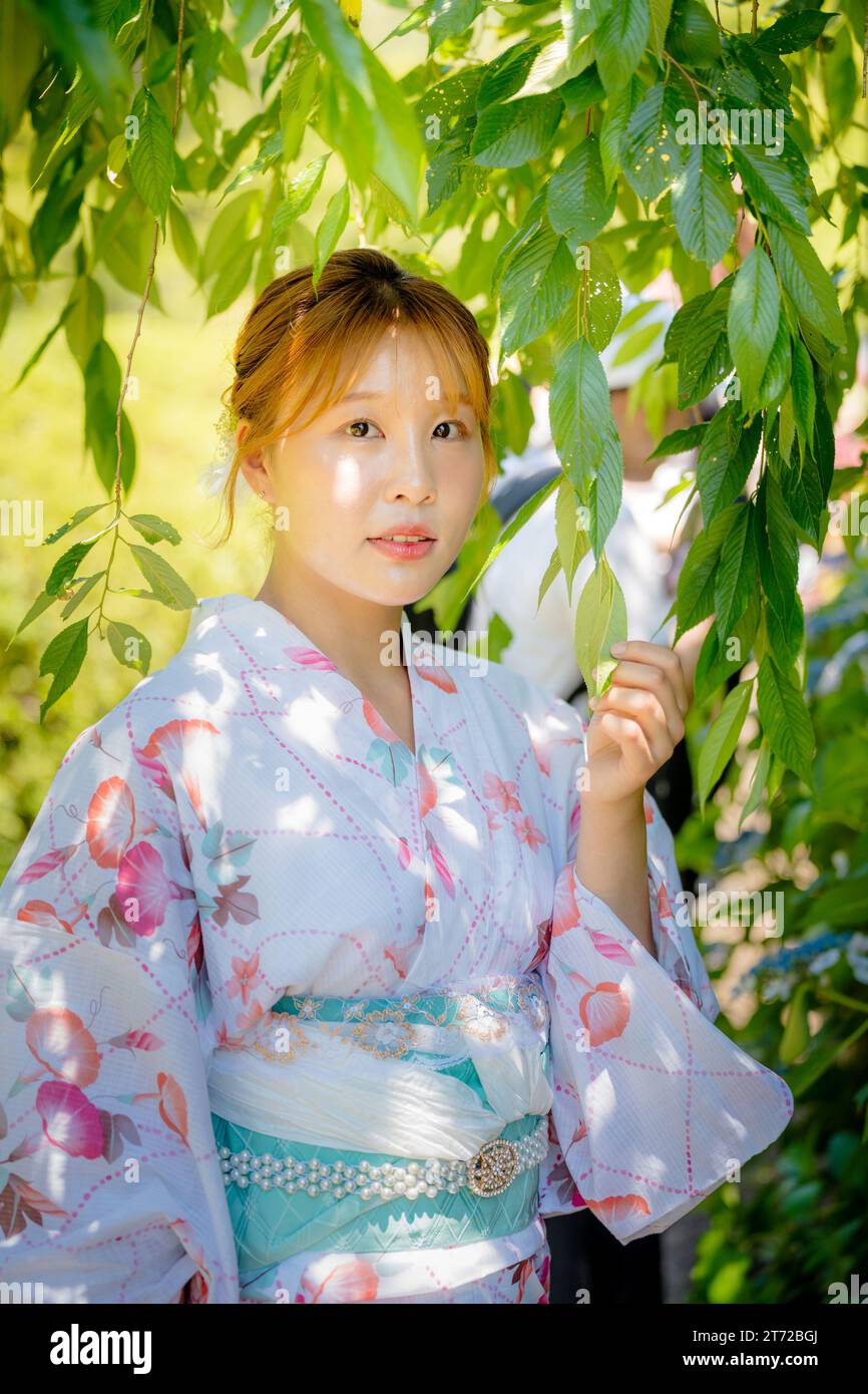 Porträt einer jungen Frau, die Yukata-Sommer-Kimono mit weichem Hintergrund in einem japanischen Garten trägt. Kyoto, Japan. Stockfoto