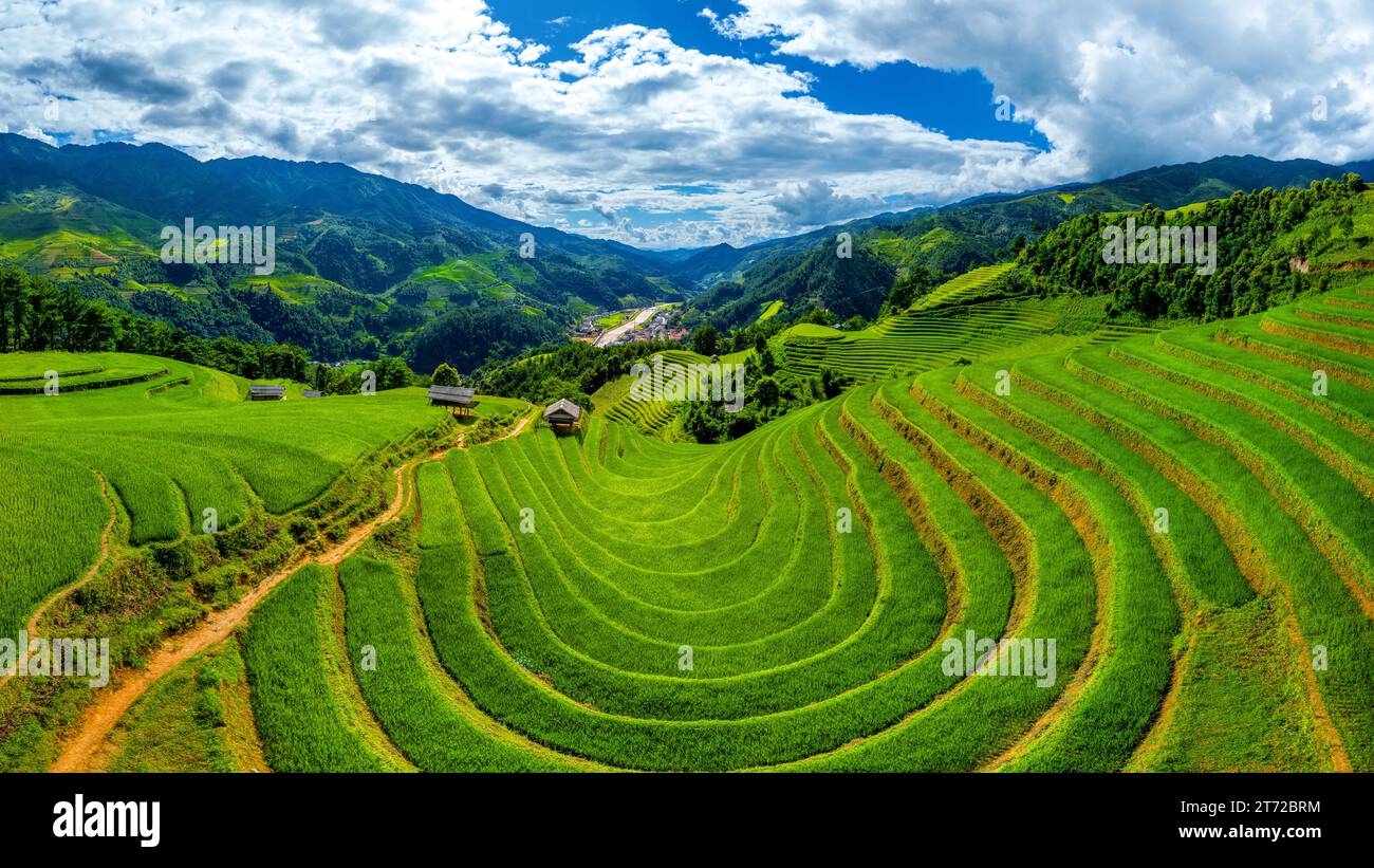 Luftaufnahme der Reisterrassen in Mu cang Chai, Vietnam. Stockfoto